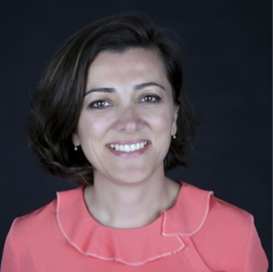 Pelin Yenigün Dilek Pelin Yenigün Dilek